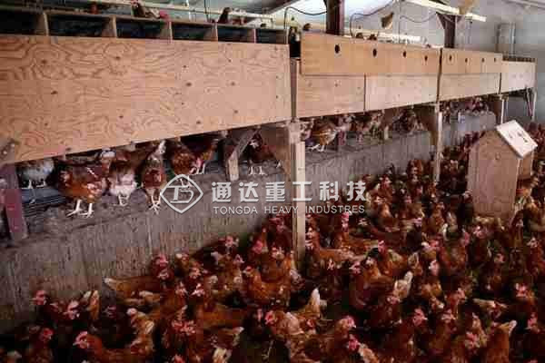  年產(chǎn)萬噸雞糞有機(jī)肥生產(chǎn)線多少錢?選對(duì)有機(jī)肥設(shè)備利潤(rùn)足