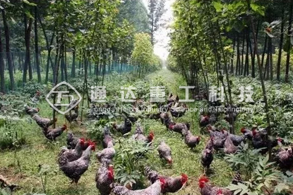 青海西寧市統(tǒng)籌推進畜禽養(yǎng)殖污染專項整治